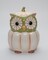 Ceramic White Pumpkin Owl Candy Jar, Home Décor, Gift for Her, Gift for Mom, Kitchen Décor, Fall Décor, Halloween Décor